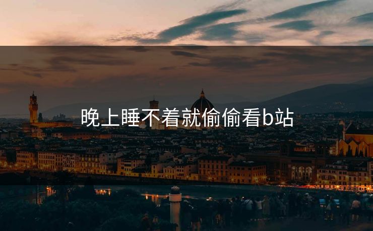 晚上睡不着就偷偷看b站