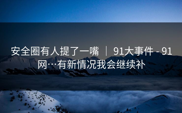 安全圈有人提了一嘴 ｜ 91大事件 - 91网…有新情况我会继续补