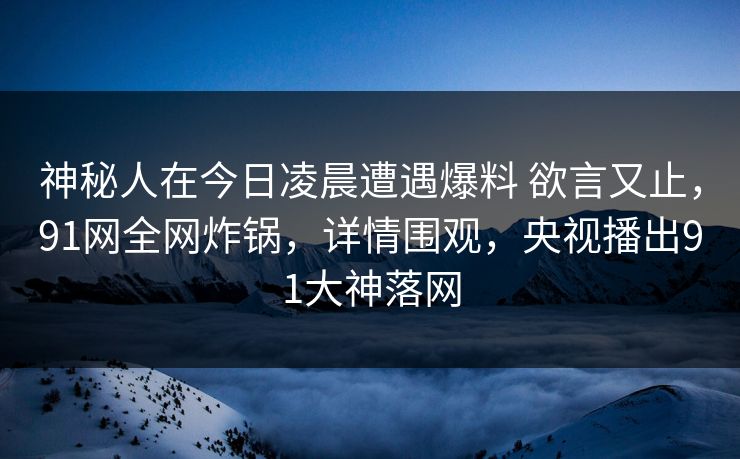 神秘人在今日凌晨遭遇爆料 欲言又止，91网全网炸锅，详情围观，央视播出91大神落网